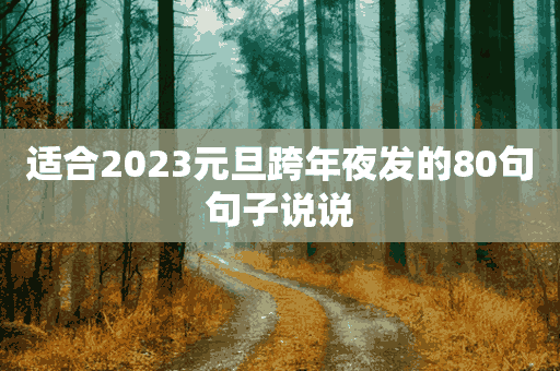 适合2023元旦跨年夜发的80句句子说说